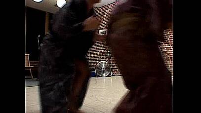 กิจกรรมเซ็กส์หมู่ของบริษัทถ่ายหนังโป๊ที่ญี่ปุ่น